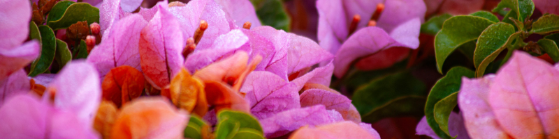 Kailey Fry – Health & Wellness Coach