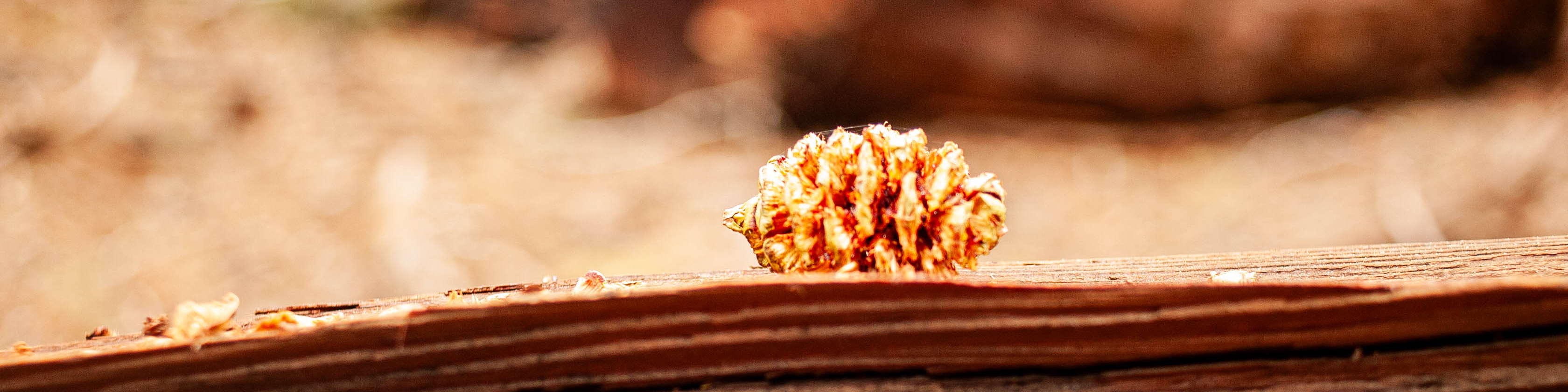 Providers Hero Image