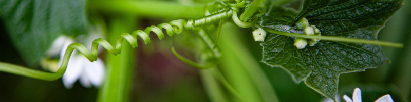 Resources Hero Image